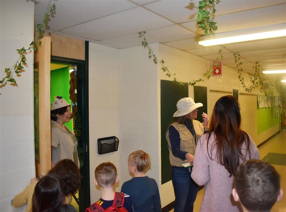  Rain forest at WES